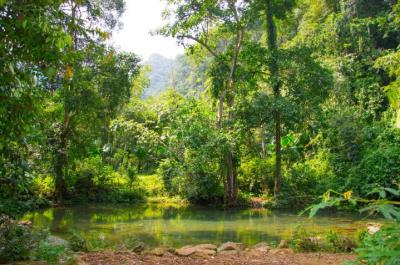 Kinh nghiệm vườn quốc gia Xuân Sơn