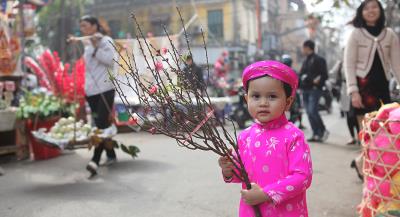 Chợ hoa Tết Hàng Lược một điểm văn hóa không thể thiếu của Hà Nội