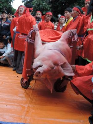 Đừng để nghi thức chém lợn ảnh hưởng hình ảnh Việt Nam