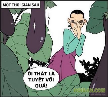 Truyện hài Hàn xẻng P647 - Vườn cà cạnh dậu mùng tơi xanh rờn