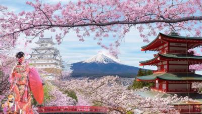 Những nét đặc trưng của văn hóa Nhật Bản